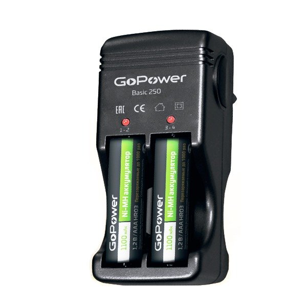 Зарядное устройство GoPower Basic 250 купить по низкой цене | МАКСПРОФИТ