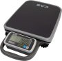 Весы CAS PB-60 купить по низкой цене | МАКСПРОФИТ